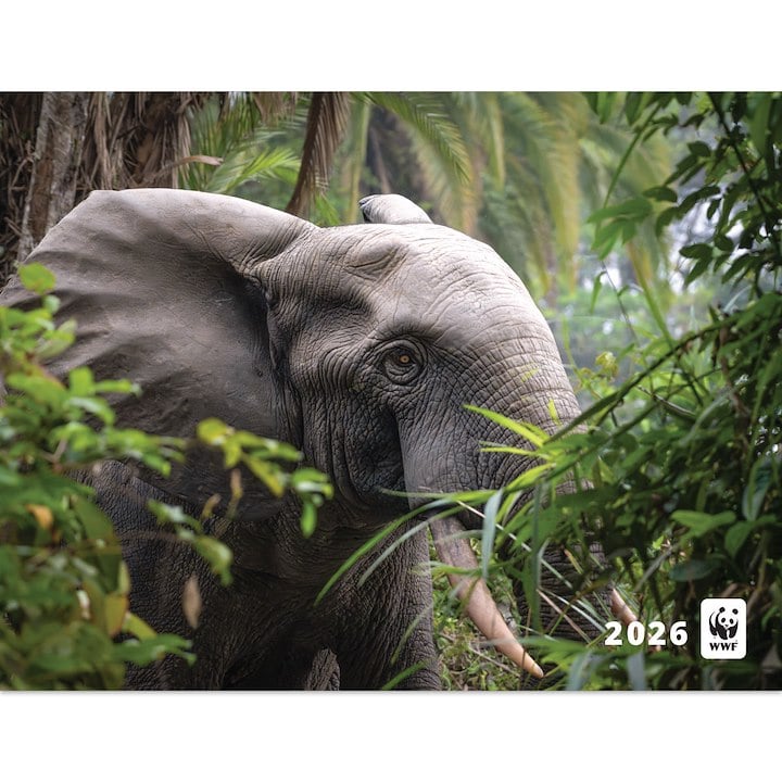 An elephant is partially hidden among lush green foliage in a forest, with "2026" and the WWF logo visible in the corner.