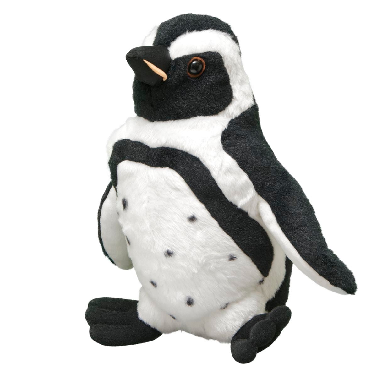 African Black-footed Penguin
