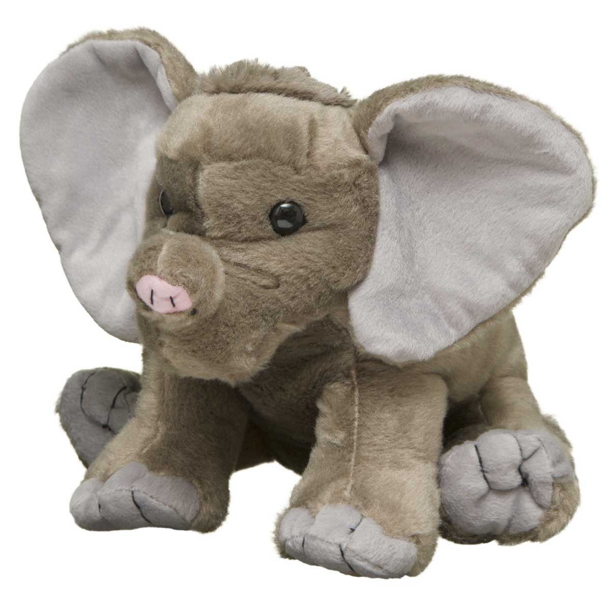 African Elephant Calf