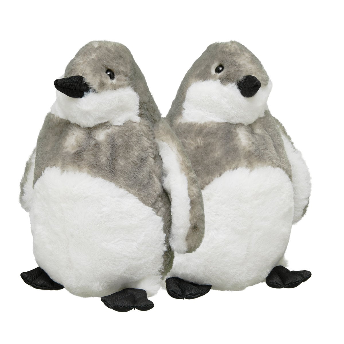 African Penguin Chick