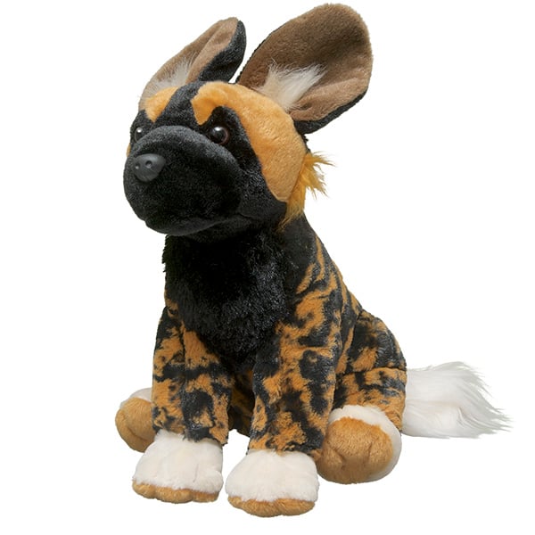 African Wild Dog
