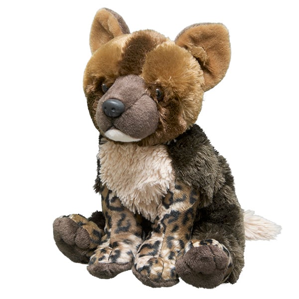 African Wild Dog Pup