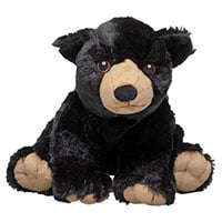 American Black Bear