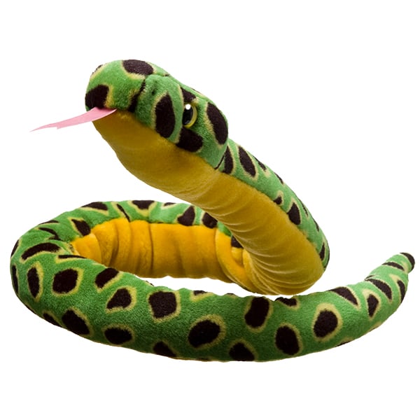 Anaconda