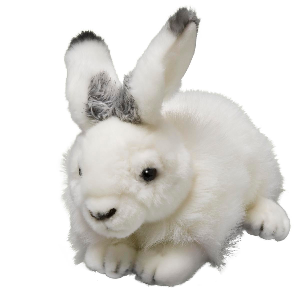 Arctic Hare