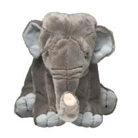 Asian Elephant