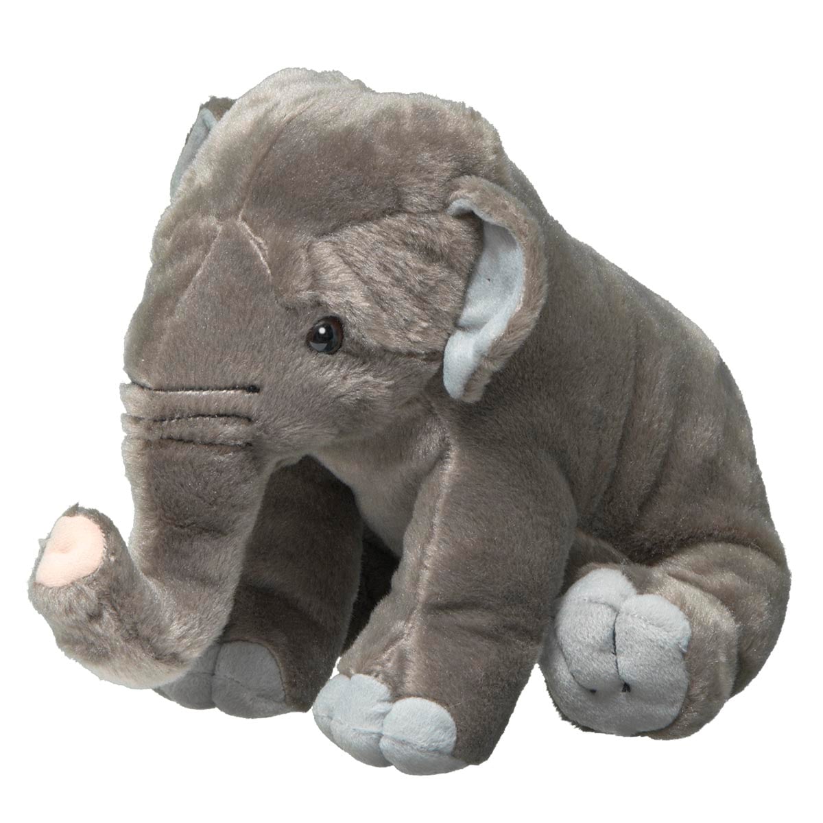 Asian Elephant