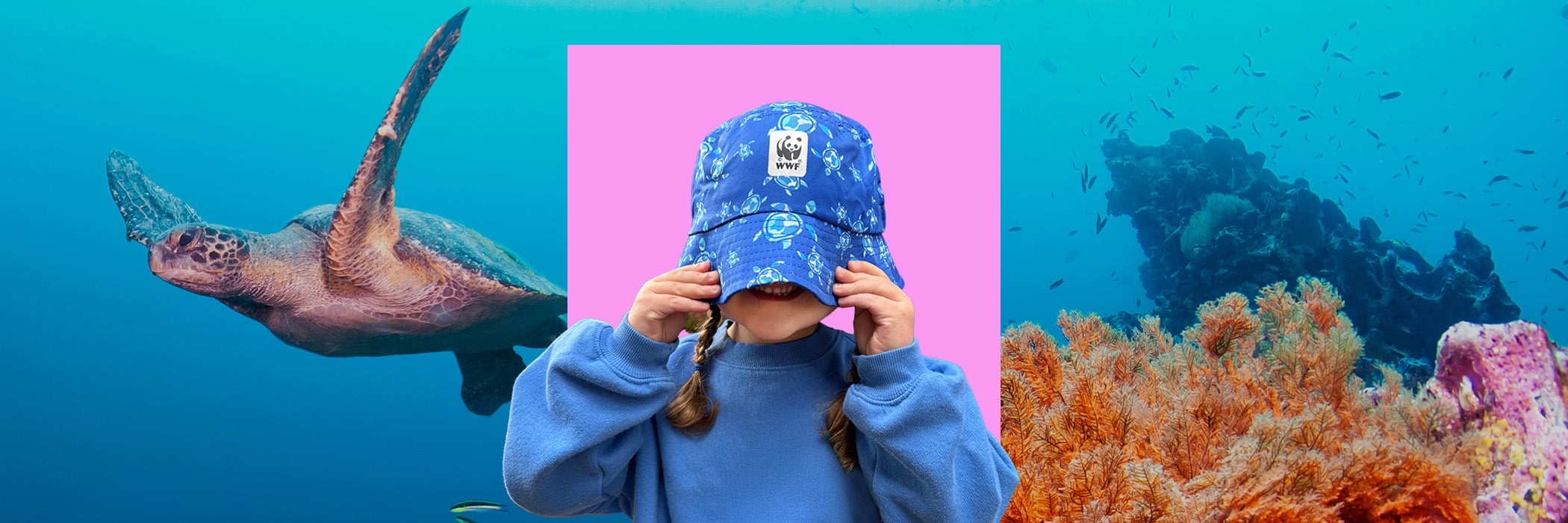 little girl with blue bucket hat pulled over eyes in front of sea turtle background