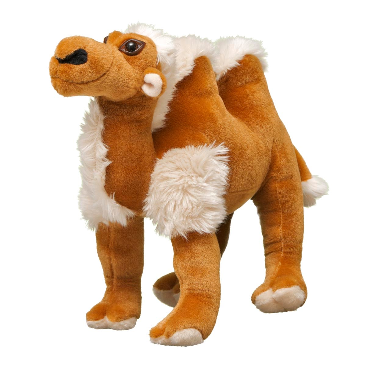 Bactrian Camel