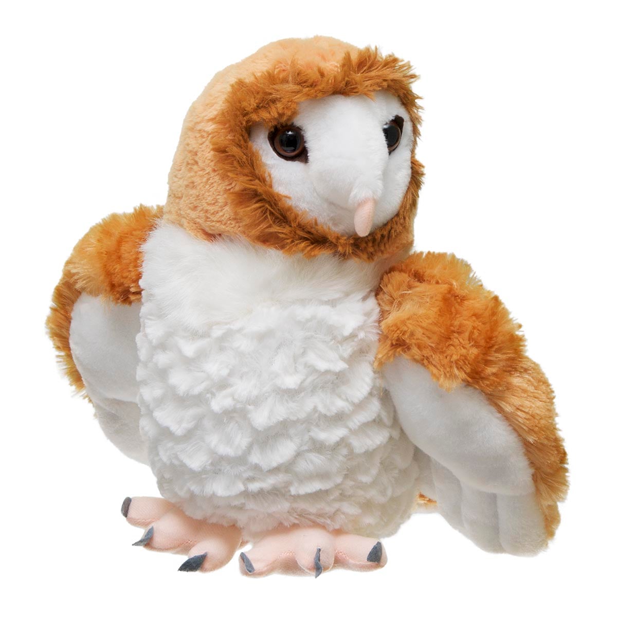 Barn Owl