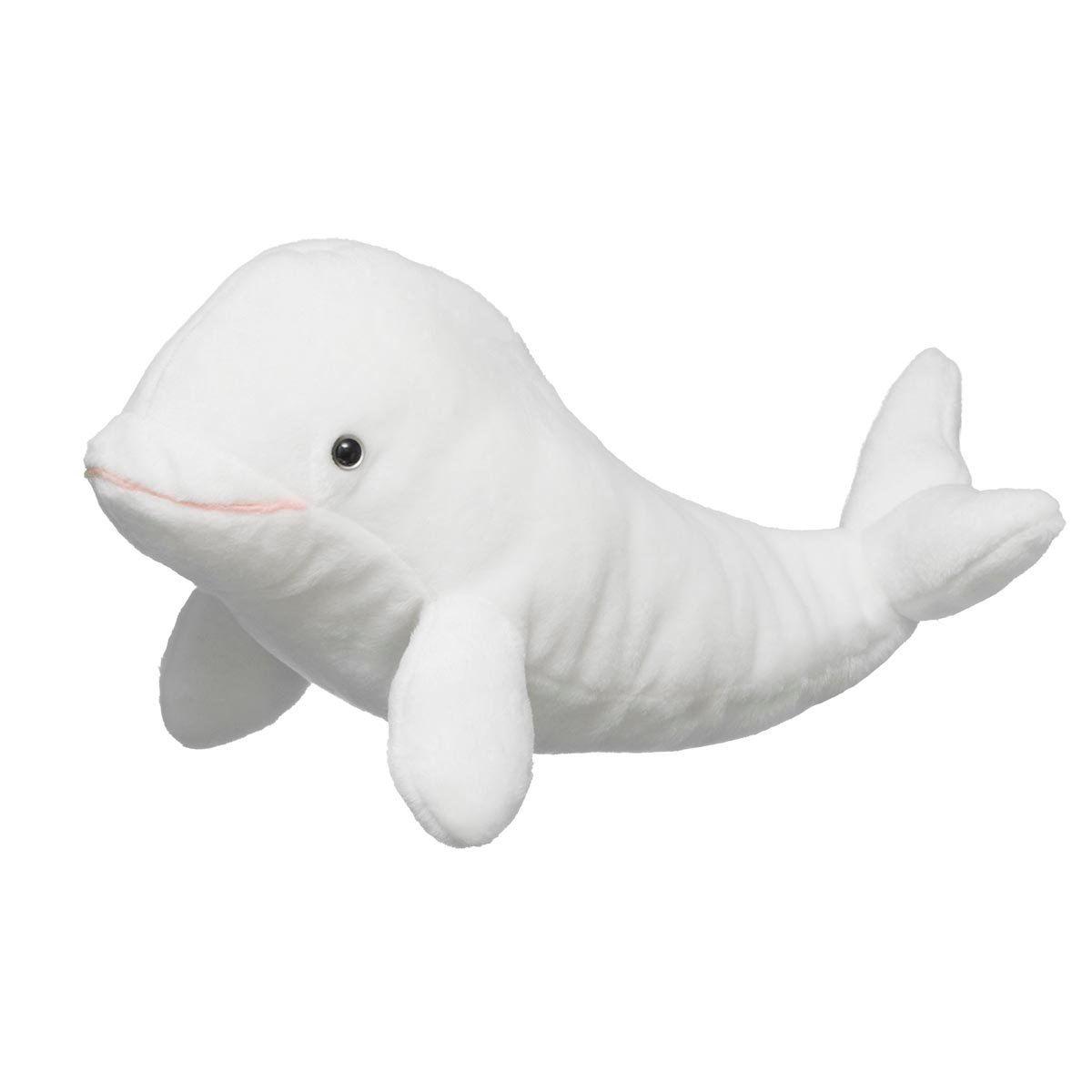 Beluga Whale