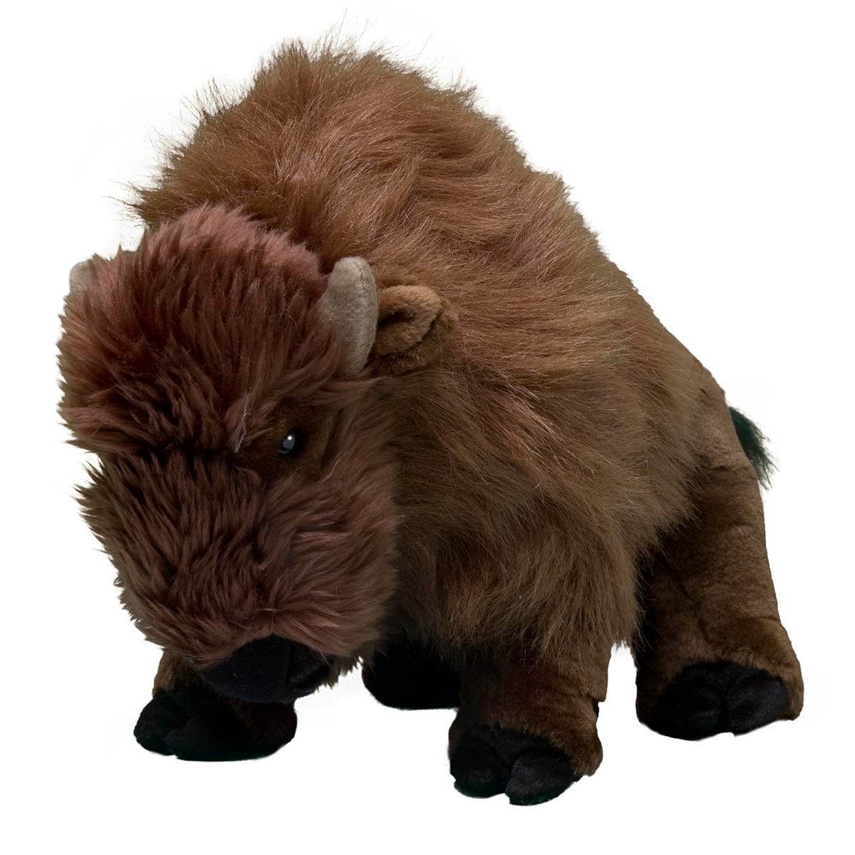 Bison