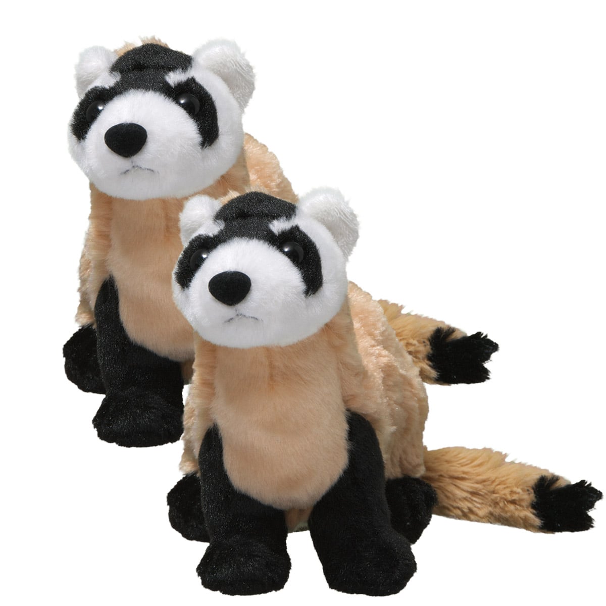 Black-Footed Ferret
