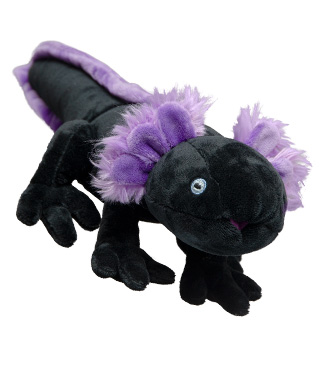 Axolotl (Black) Plush