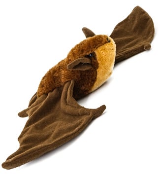 Brown Bat