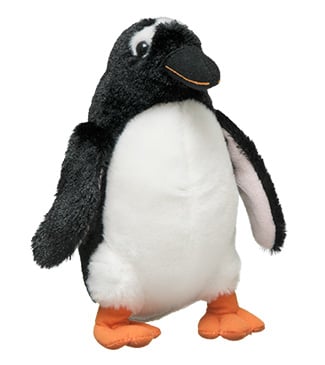 Gentoo Penguin