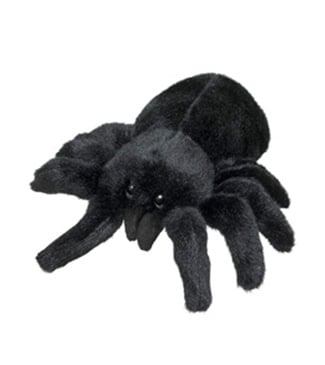Tarantula