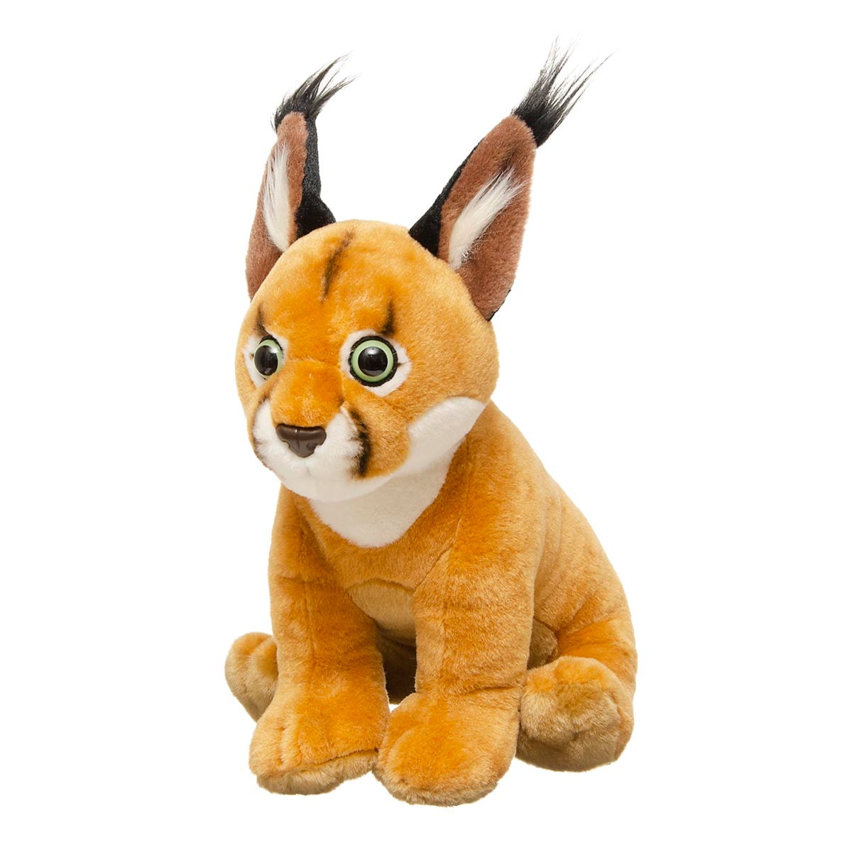 Caracal