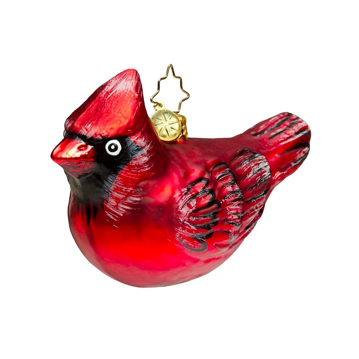 A red cardinal-shaped Christmas ornament with a gold star-shaped hanger is displayed against a white background.