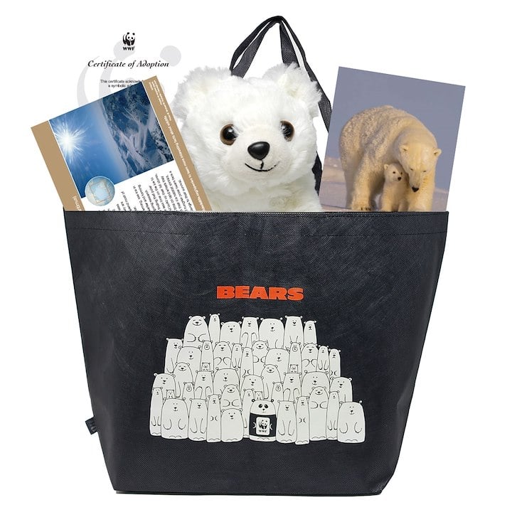 A black tote bag featuring cartoon bears is filled with a polar bear plush toy, a certificate, and a polar bear-themed brochure and photo.