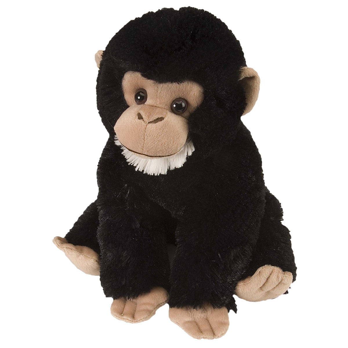 Chimpanzee