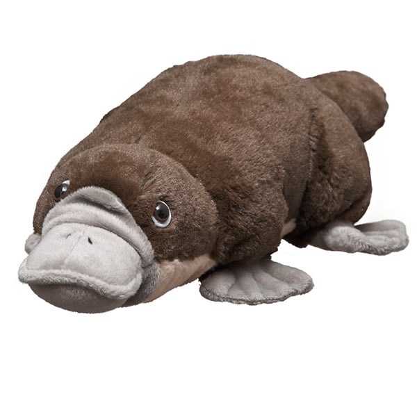 Duck-billed Platypus