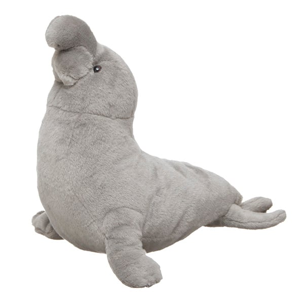 Elephant Seal
