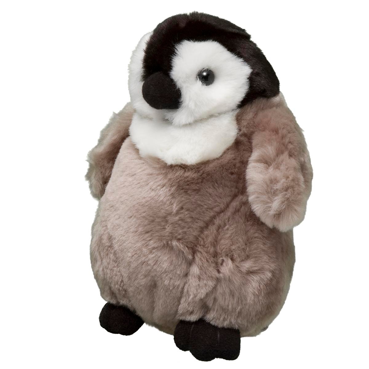 Emperor Penguin Chick