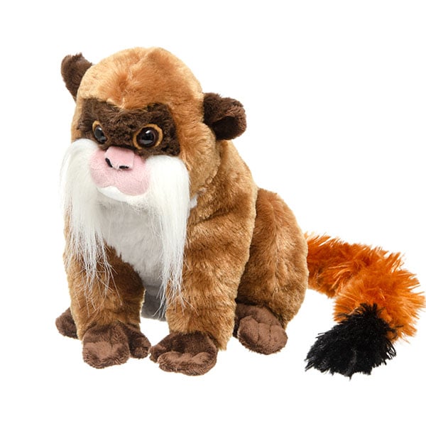 Emperor Tamarin