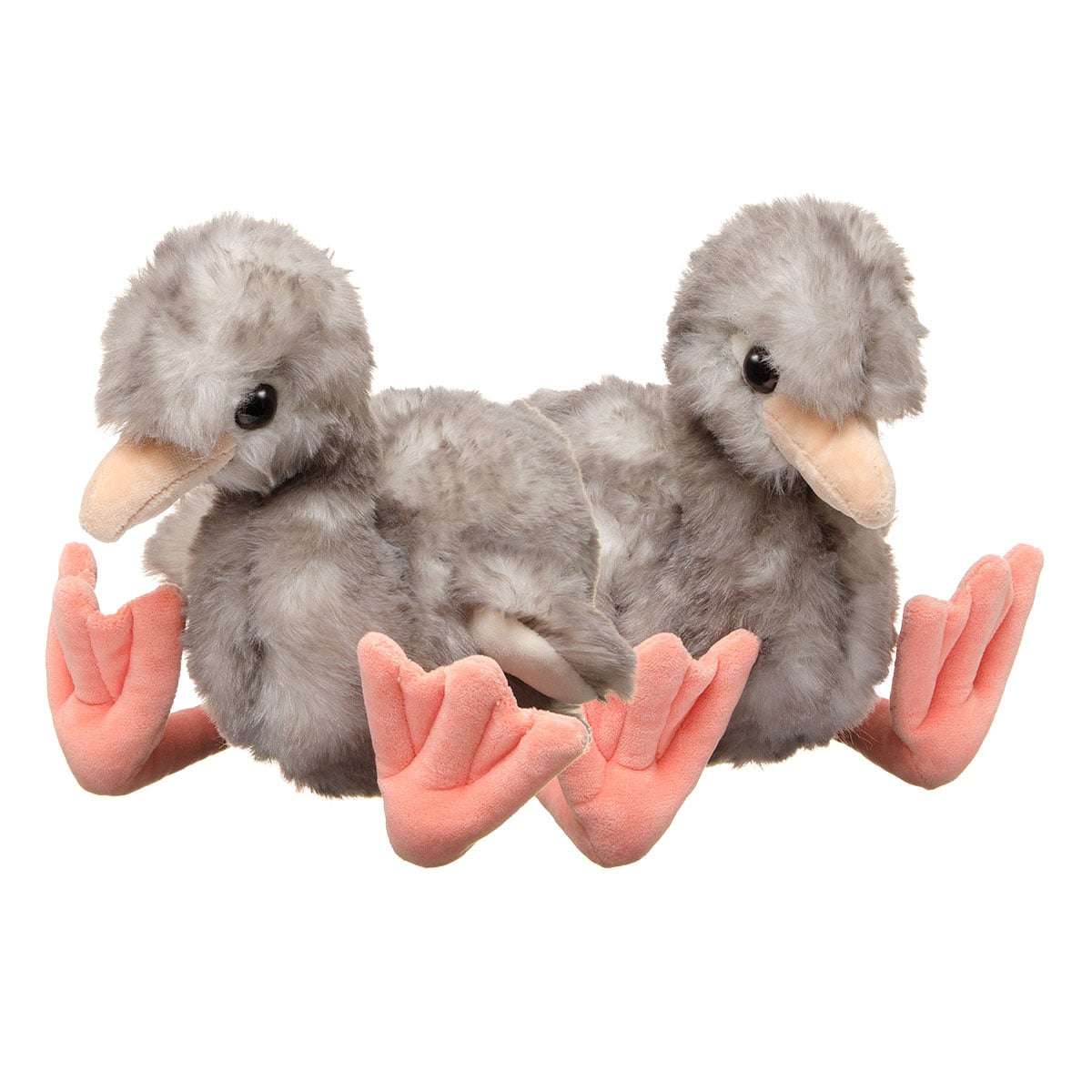 Flamingo Chick