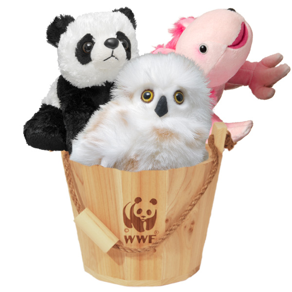 bucket with 3 plush