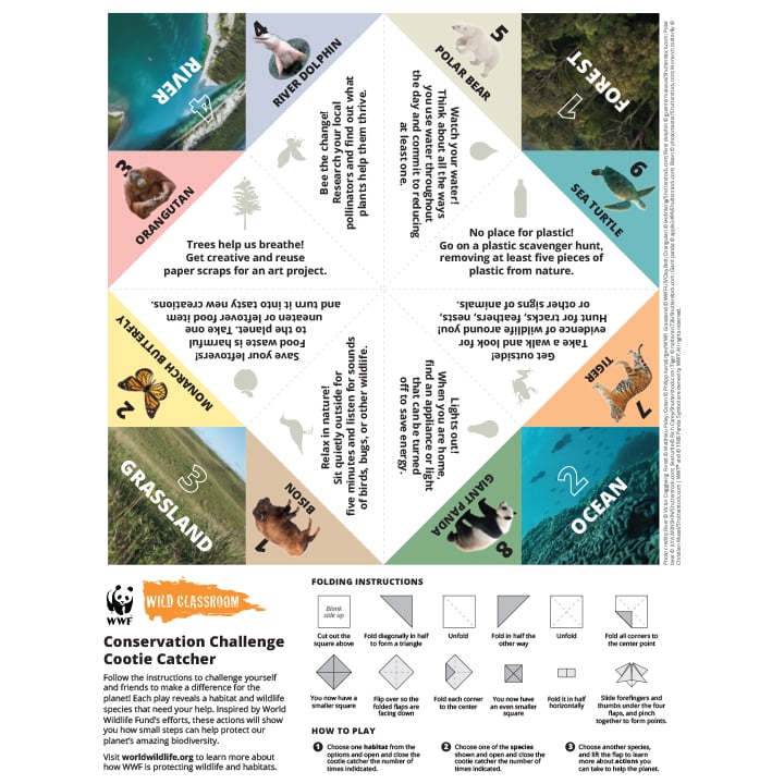 PDF screenshot
