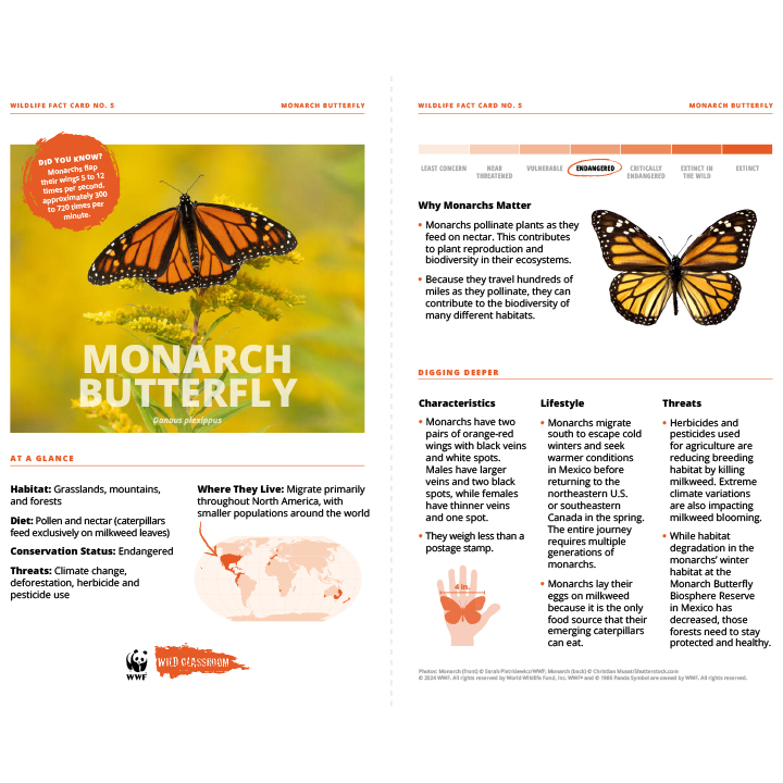 PDF screenshot