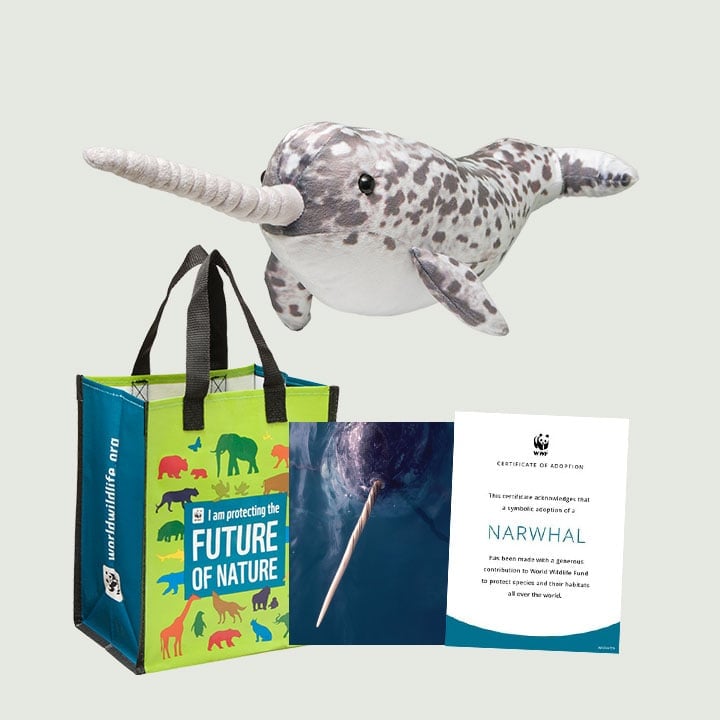 A stuffed narwhal plush toy, an informational certificate about narwhals, and a reusable bag branded with wildlife conservation graphics and text from the WWF.