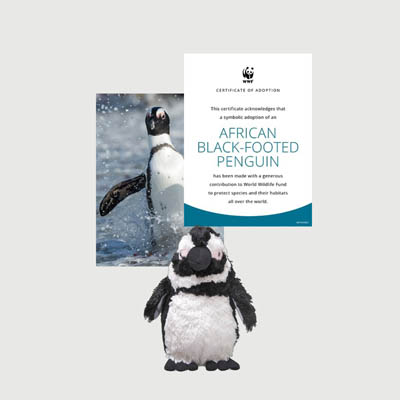 african black footed penguin Mini plush adoption kit