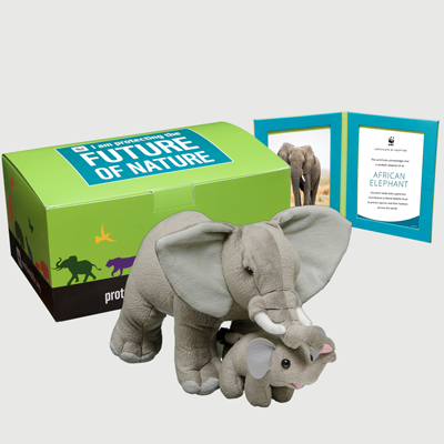 african elephant Plush pair adoption kit