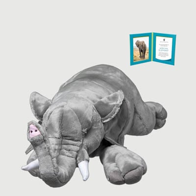 african elephant Giant plush adoption kit