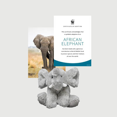 african elephant Mini plush adoption kit