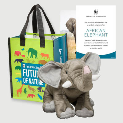 african elephant Plush adoption kit