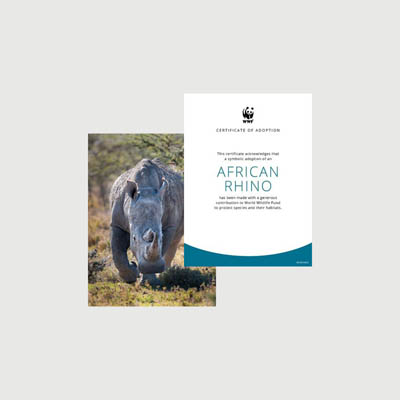 african rhino Photo + certificate adoption kit