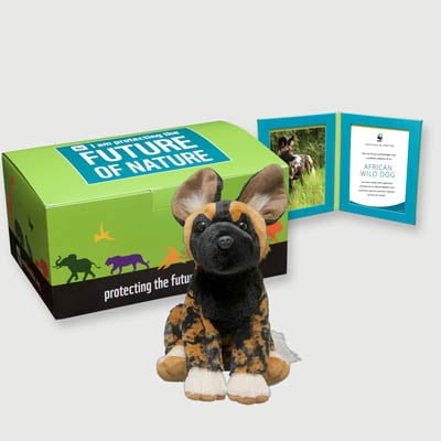 african wild dog Plush, box + frame adoption kit