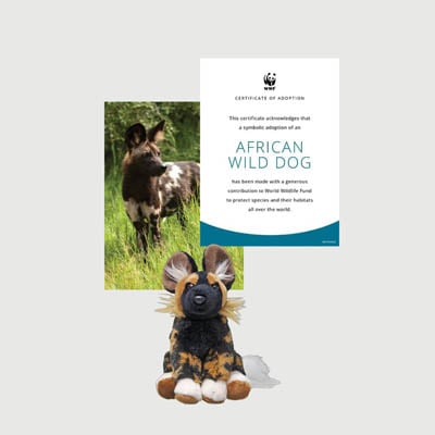 african wild dog Mini plush adoption kit