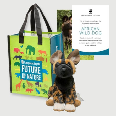 african wild dog Plush adoption kit