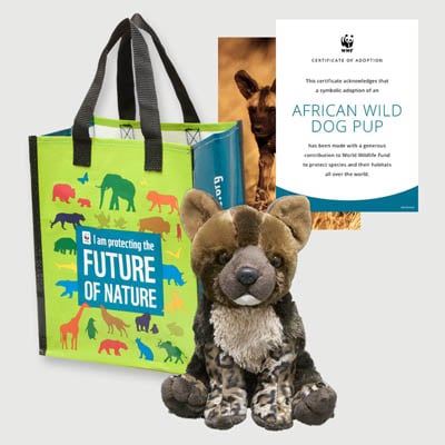 african wild dog pup Plush adoption kit