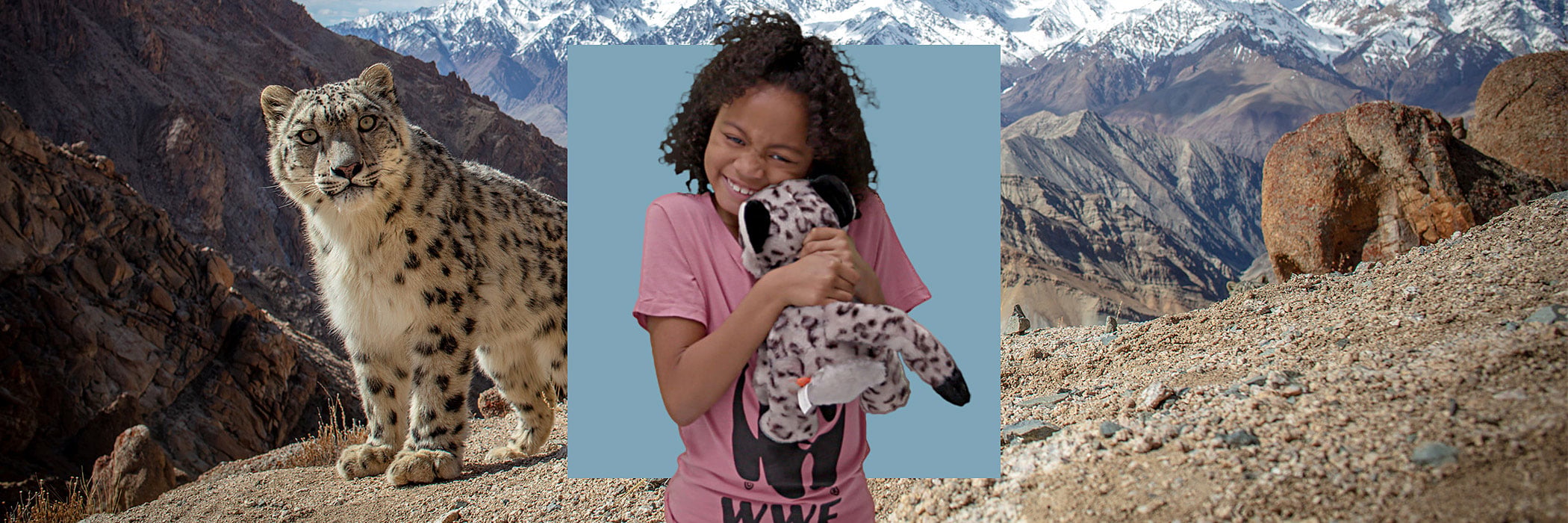 Girl hugging snow leopard in front of blue square in front of snow leopard on snow-covered mountains