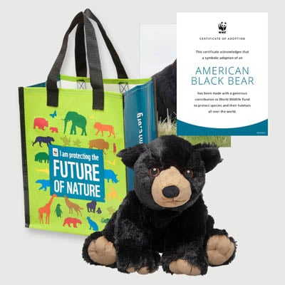 american black bear Plush adoption kit