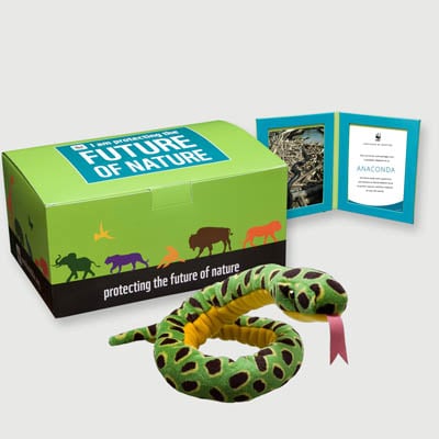 anaconda Plush, box + frame adoption kit