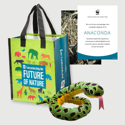 anaconda Plush adoption kit