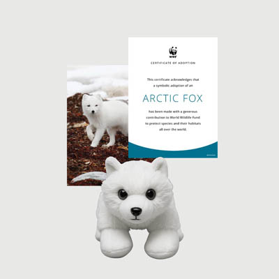 arctic fox Mini plush adoption kit