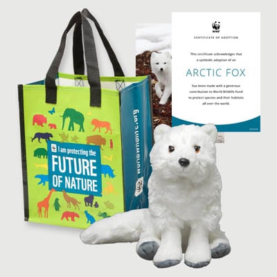 arctic fox Plush adoption kit